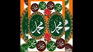 حبيبي يا محمد يا نعم الرسول       دندنها