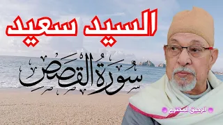 سورة القصص فضيلة القارئ الشيخ السيد سعيد من الآية ١ إلي الآية ٣٤ 