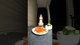 بطل صويت طب و كل 