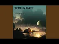 Download Lagu Tebilin Mate