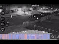 Hackensack Dog Attack