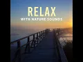 Sleep Well - Nature Sounds