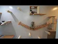 Download Lagu I Built a Massive Cat Wall for my Cats and Raccoons!