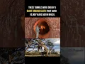 Download Lagu Fascinating right? 😳 More info in description #beyond5000 #history #prehistoricanimals