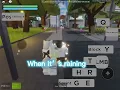 How to use camera Sakura stand