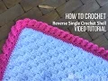 How to Crochet a Reverse Shell Border Using Single Crochet Easy Crochet Edging Tutorial