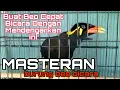 Download Lagu MASTERAN BICARA PALING AMPUH BUAT BEO AGAR CEPAT BICARA