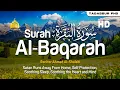 Download Lagu Surah Al Baqarah - Ahmad Al-Shalabi [ 002 ] I Beautiful Quran Recitation