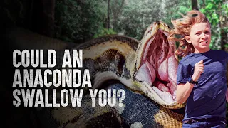 how to survive being swallowed by an anaconda