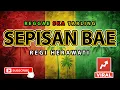 Reggae SKA Tarling SEPISAN BAE - REGI HERAWATI | Music Reggae SKA Tarling Cover Version