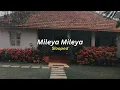 Download Lagu Mileya Mileya (slowed) - Rekha Bhardwaj, Sachin-Jigar