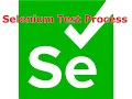 Selenium Test Process Selenium Java and TestNG G C Reddy