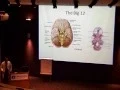 Download Lagu Cranial Nerve Disorders part 1, 12/17/14
