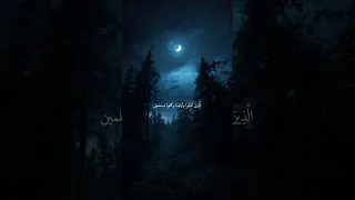 يا عبادي لا خوف عليكم اليوم ولا انتم تحزنون   سورة الزخرف   محمد صديق المنشاوي دندنها