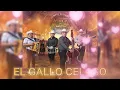 MARCA DE JEFES -EI GALLO CELOSO #viral #video #estreno