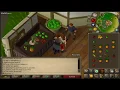 thieving Fruit stalls in old school runescape tick minipulation