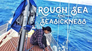 ROUGH SEA And The Eternal SEASICKNESS Battle | Wildlings Sailing