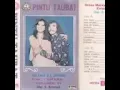 Download Lagu #awara Terlanjur ida elisa