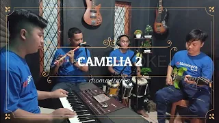 Download CAMELIA 2 KARAOKE NADA COWOK rhoma irama MP3