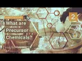 What are Precursor Chemicals