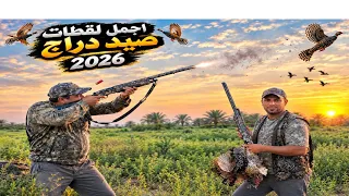 شاهد اجمل لقطات صيد الدراج في العراق صيد الدراج🥰 2026