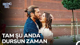 İnan Hiç Beklemediğin Anda Oluyor... -  Erkenci Kuş