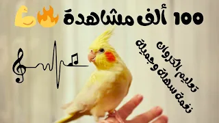 تعليم الكروان   الكوكتيل   نغمة سهلة وجميلة بعشر دقائق فقط  دندنها