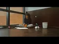 Download Lagu Gabylonia - Tú y Yo Nunca (Video Oficial)
