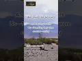 Download Lagu Surah Yaseen Ayat 78 #quran #quran #mukhtar Al haaj