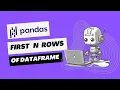Get First N Rows of Pandas Dataframe Python Tutorial