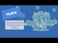 Hydra Configure Complex Application in Python