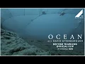 OCEAN WITH DAVID ATTENBOROUGH BOTTOM TRAWLING CLIP WATCH AT HOME NOW Altitude Films
