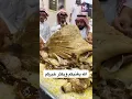 Download Lagu camel meat # camel animal