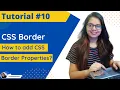 CSS Border How to add border to any element Web Designing Tutorial