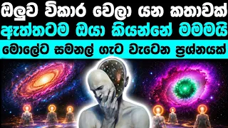විශ්වයේ මහා විඥානය බෙදීගිය විදිහ | We are all connected 
