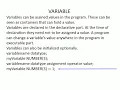 Variables Constants Bind Variables