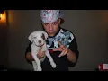 RX don omar  (feat kendo  kaponi)