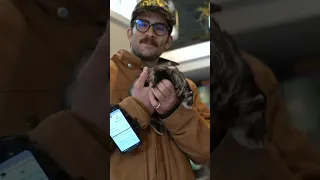 Hasan Toured My Tiny House Shorts Hasanabi Collab Tinyhouse Ferret Maya Mayahiga 