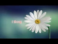 Download Lagu Glorious-Adam Friedman(Rock Dog)||Lyric Video