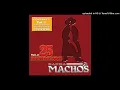 Banda Machos - Historia Sin Fin (Audio)
