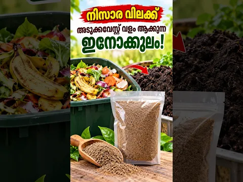 നിസാര വിലക്ക് വേസ്റ്റ് വളമാക്കുന്ന ഇനോക്കുലം #farming #tips #garden #plants #compost