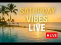 Download Lagu Live From Paradise! Saturday Chill at the Resort 🏖️