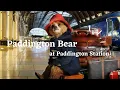 Download Lagu Paddington Bear at Paddington Station