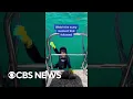 Download Lagu A shark bit an 8-year-old boy during a fishing trip in Australia, leaving a minor bite mark #shorts