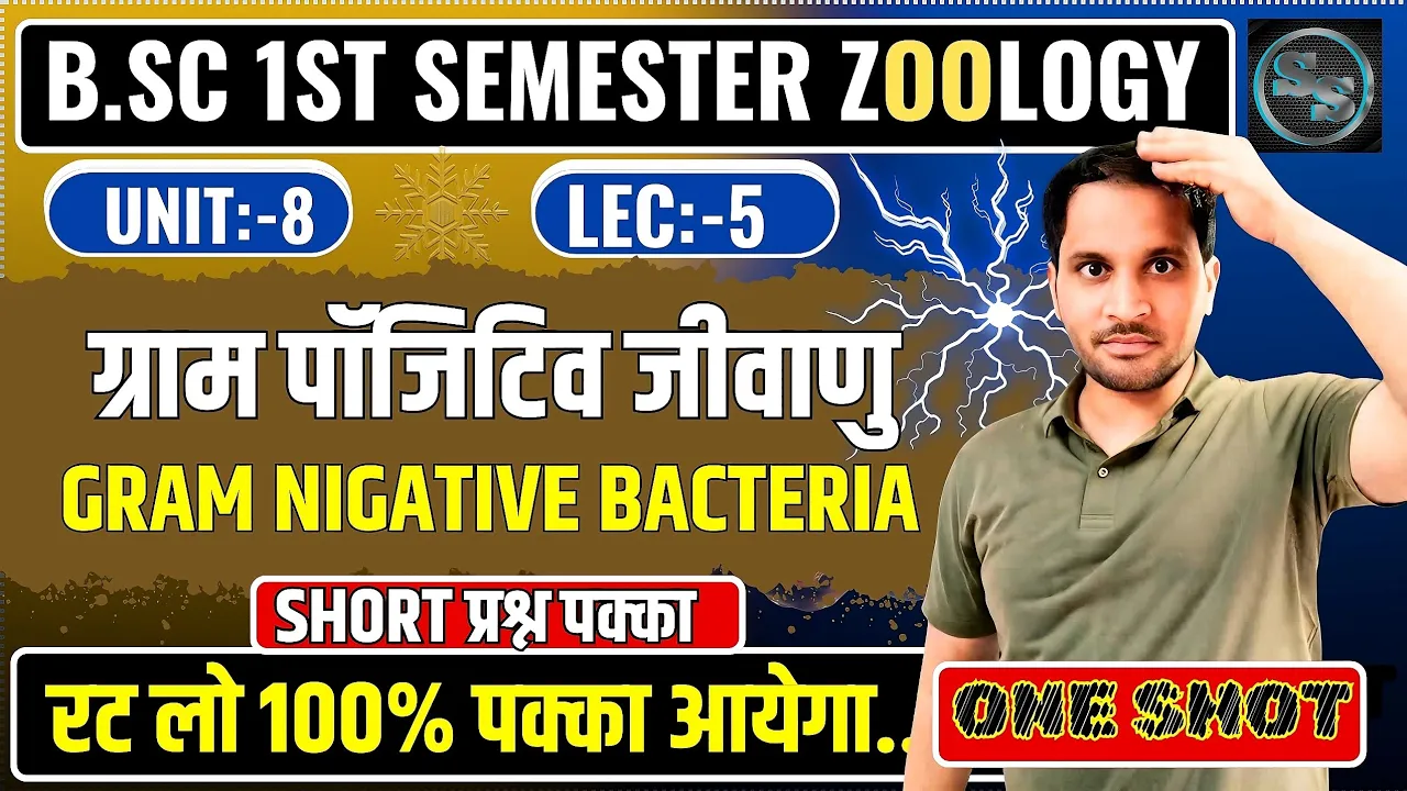 Gram Positive and Gram Negative Bacteria Bsc | Gram Positive Bacteria | Gram Negative Bacteria