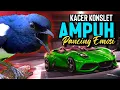 Download Lagu Masteran Kacer Gacor Tarung Konslet untuk Pancingan Kacer Kurang Fighter @n17channel_kenarigacor