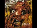 Demolition Hammer-  .44 Caliber Brain Surgery