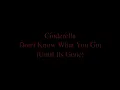 Cinderella -Don't Know What You Got Til It's Gone lyrics