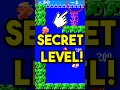 Download Lagu Mario’s Secret Level That WASN'T Supposed to Exist 👀