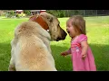 Download Lagu This Baby and Dog Duo Will Melt Your Heart! ❤️ Cute Baby and Dog Video